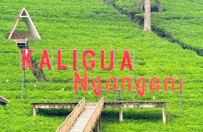 Kebun Teh Kali Gua